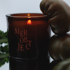 coastal garden: salted herbs