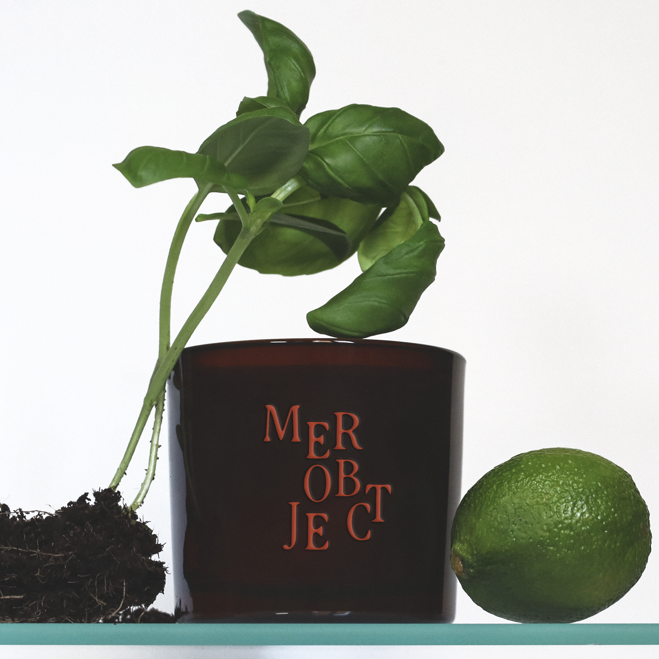 coastal garden: salted herbs