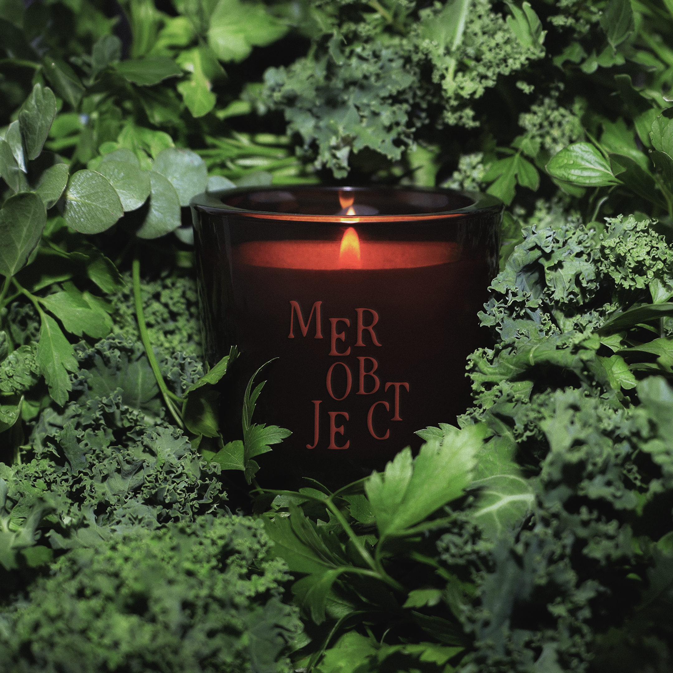 coastal garden: salted herbs